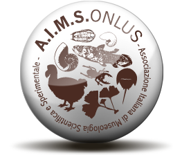 logo A.I.M.S Onlus